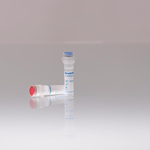 106050_ReverHotTaq_07112024 (002)